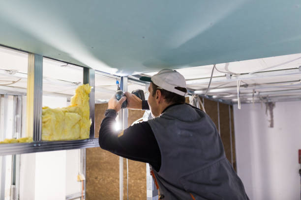 Best Residential Insulation Services  in Ridgeway, VA