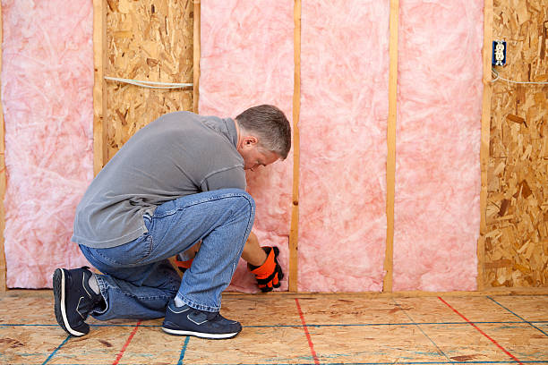 Best Commercial Insulation Contractor  in Ridgeway, VA